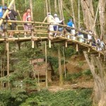 Bamboo Bridge, jembatan baduy, gazeboh