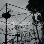 jubilee puncak camp high rope