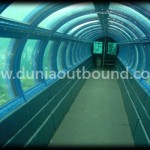 Lokasi Outbound Pulau Seribu Aquarium Bawah Laut di Pulau Putri