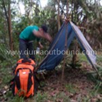 jungle survival outbound