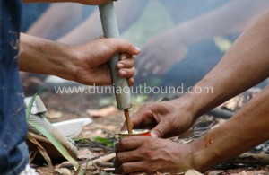 jungle survival outbound