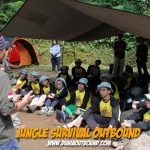 jungle survival 
