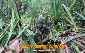 jungle survival training, pelajaran outbound