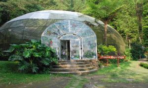 taman kupu kupu cilember, villa kayu curug cilember, outbound puncak, outbound satu hari