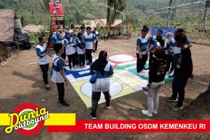 permainan outbound ludo