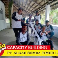 Membangun Teamwork Yang Efektif